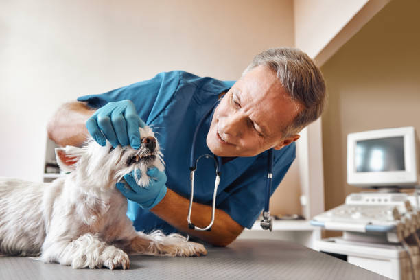 Best Emergency Tooth Extraction in Eddington, PA